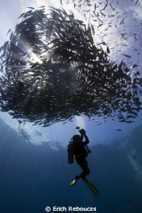 Photographer and schooling jacks at Sipadan by Erich Reboucas 